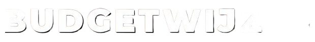 BudgetWijzer logo